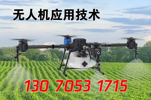 看有没有你喜欢的多乐彩正式成为山东泰